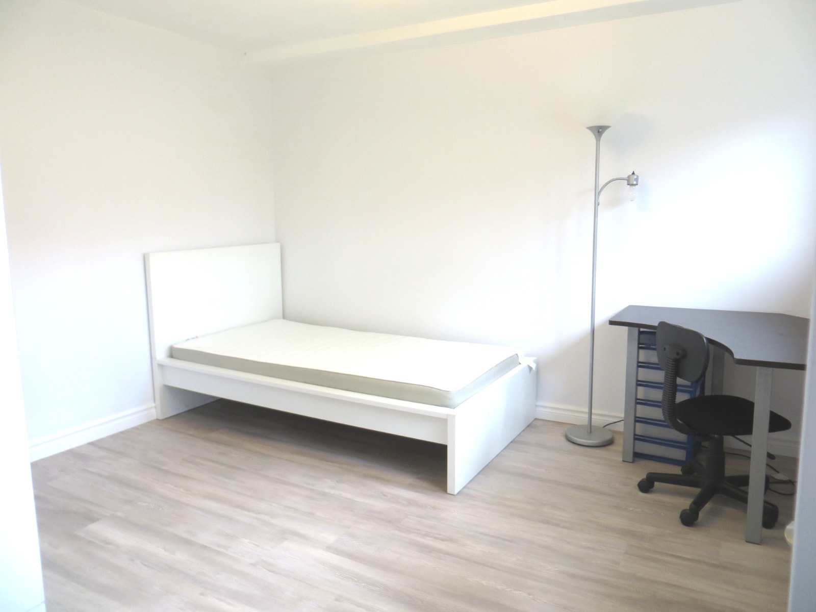 Room for rent in shared basement apartment in quiet NDG (Montrea — photo 1