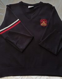 Uniforme Académie Michèle Provost: Pull-over Garçon