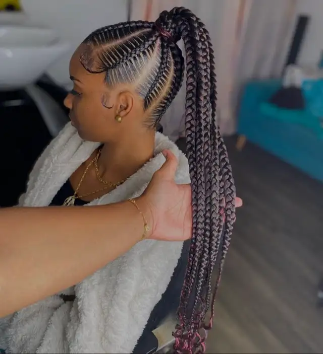 Braids Hamilton