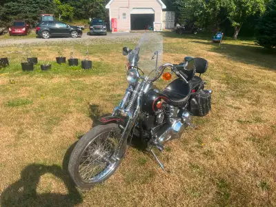 I am selling my 1988 Soft Tail Springer 85 th anniversary edition. The bike is numbered 822 of 1450...