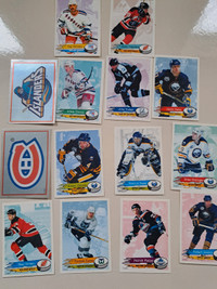 NHL Stickers and Book Panini 95/96