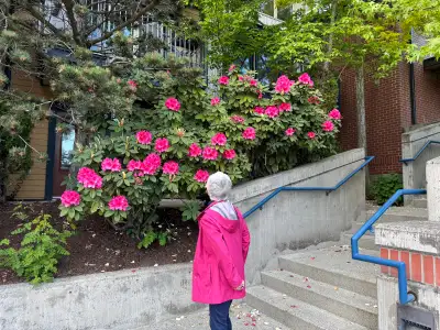 Korean woman needed for home support, View more