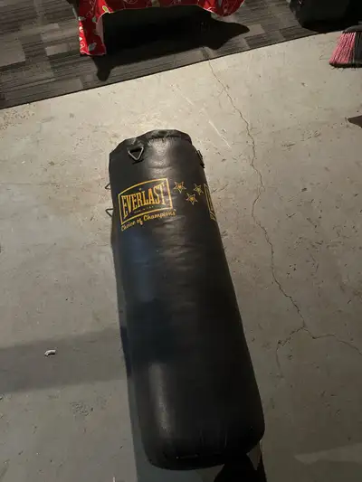 Evererlast  punching bag , View more