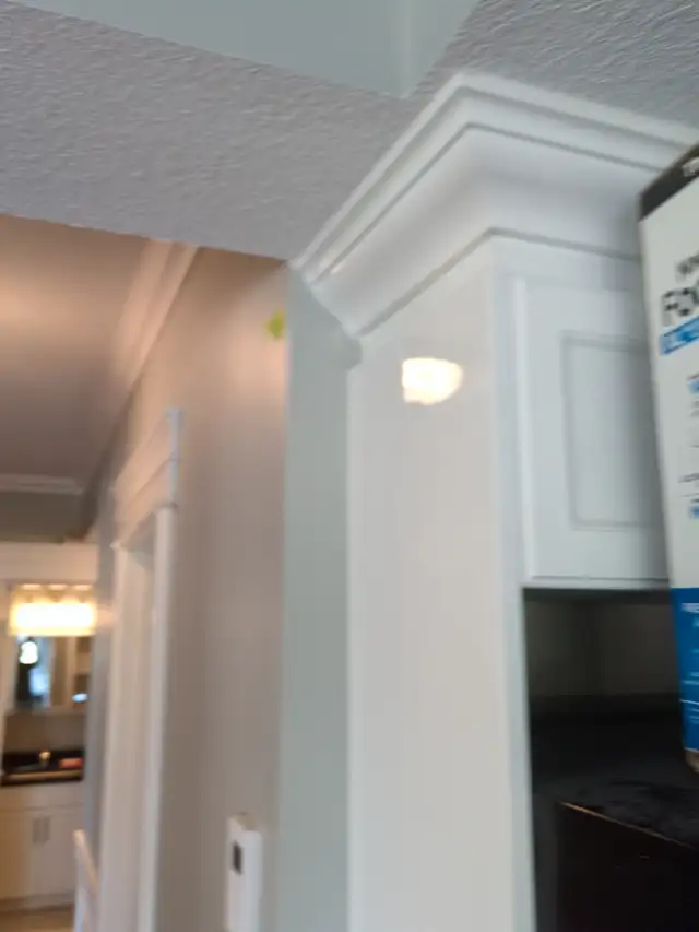 ️Over 10 years exp -Trusted Handyman Services62863221471875124