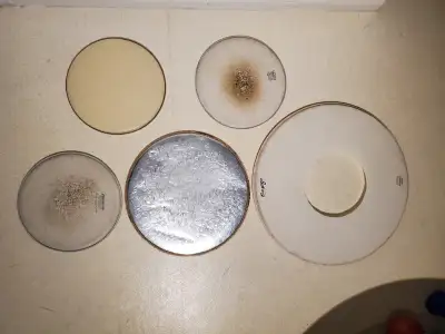 5PC Remo/Ludwig Drum Heads Lot - Save $, View more