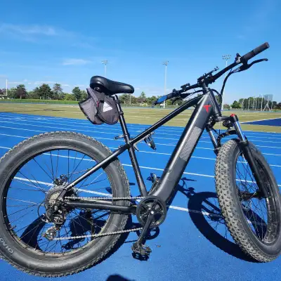 Hi-Boy P6 ebike, View more