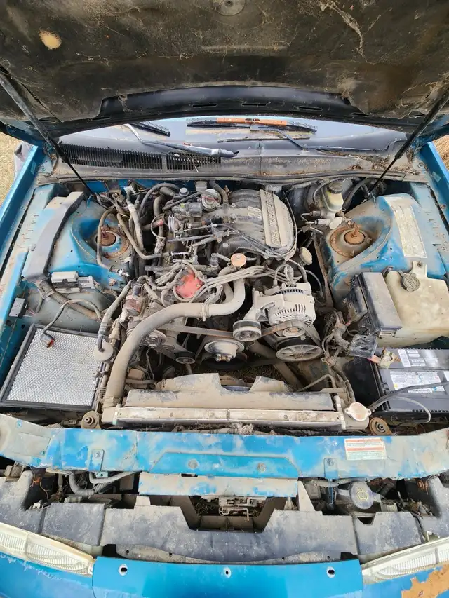 1994 Ford Thunderbird448294787293521923