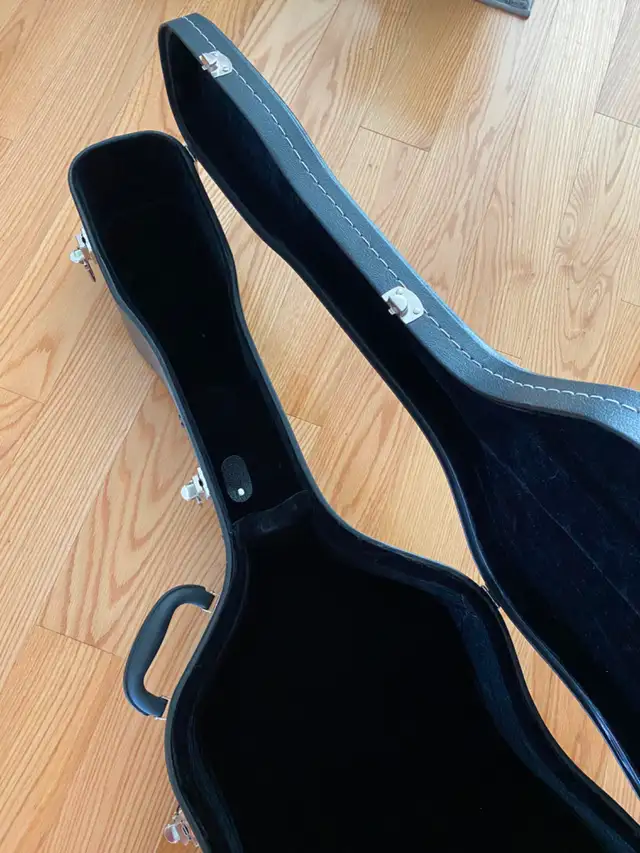 Guitar hard case533465124045465604