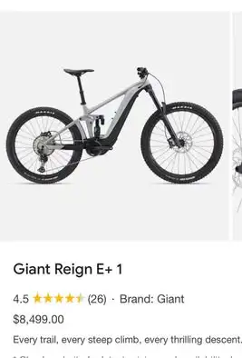 Giant Reign E+1, 2022 size medium, View more