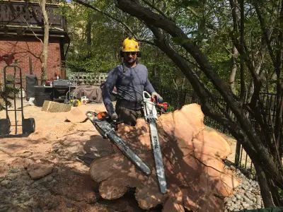 Tree service’s arborist with 25 yrs experience pruning & removals ! please take three photos of tree...