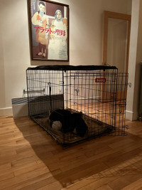 BüD’z Dog Cage