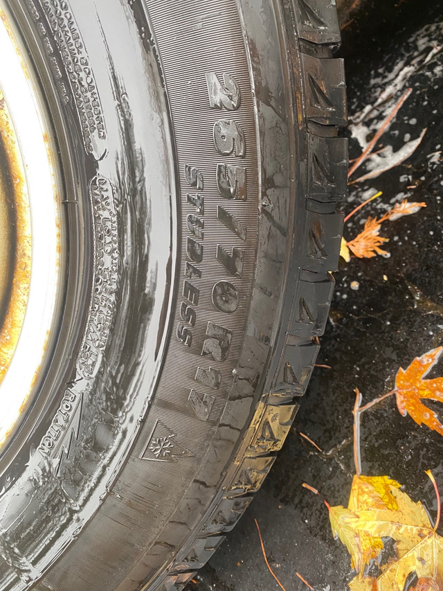 Winter Tires on rims Ram 1500 in Tires & Rims in Petawawa