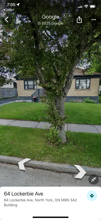 3 bedroom top floor of house for rent July