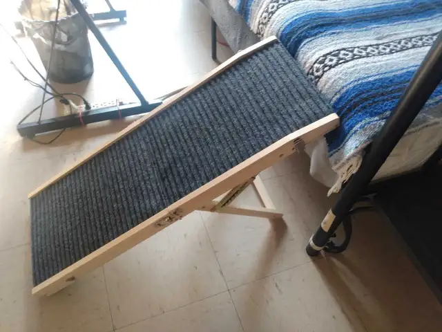 Pet Assist Ramp 547050733060106244