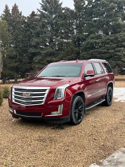 This beautiful 2016 Cadillac Escalade Platinum comes with premium features, like rear seat, entertai...