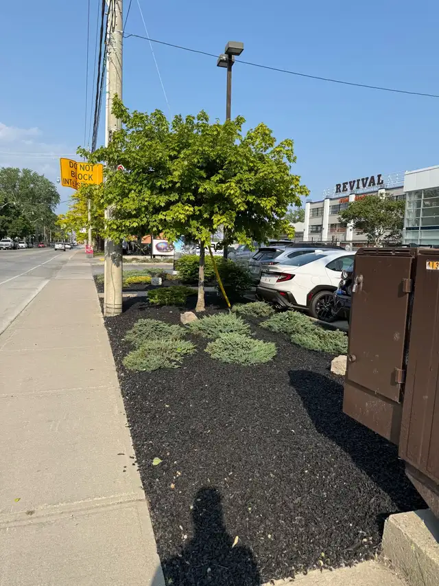 Mulch Install – Residential & Commercial – Full Service62863716153347124