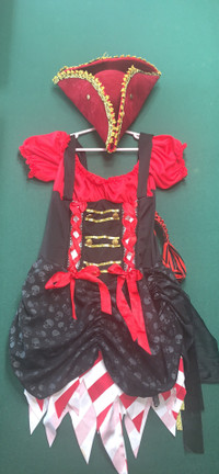 Ladies Premium Pirate Halloween costume $20