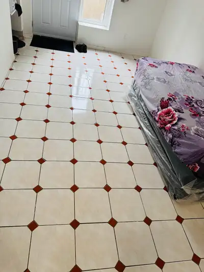 2 Bedroom Basement
