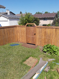 DECK AND FENCE