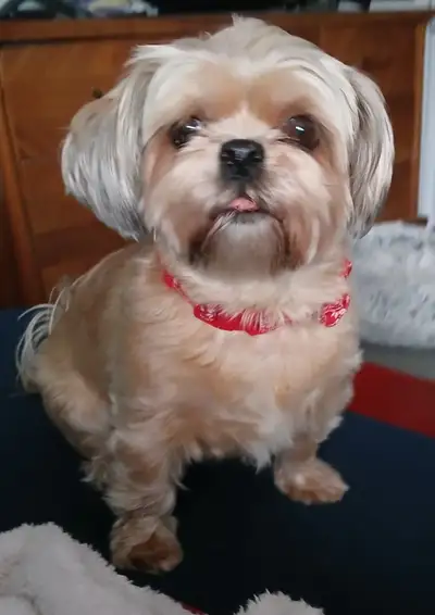 we do it doggie style!, View more