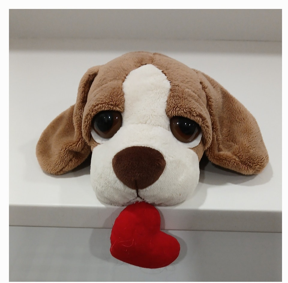 Big Eye Beagle Plush Dog ,Clean and Soft, 10 -12in. Like new, | Arts ...
