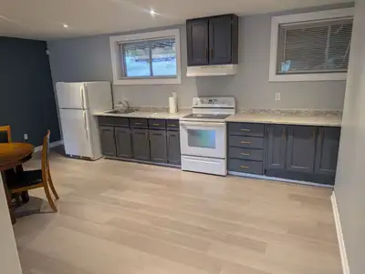 1 Bedroom Basement Apartment