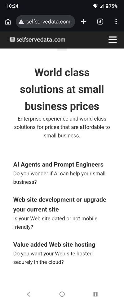 AI Agents and website development/hosting, View more