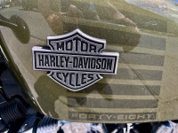 Harley 1200cc Sporster 48
