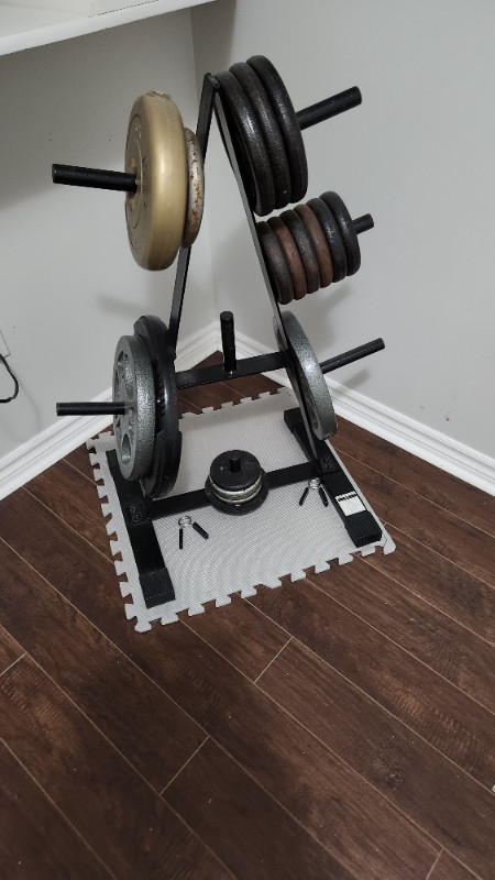 Weights in Exercise Equipment in Ottawa - Image 2
