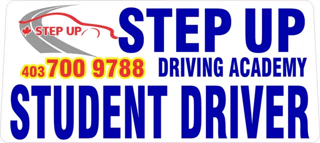 driving school and instructor 64840297254274123