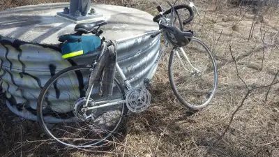 Vintage Raleigh Record, 21", View more