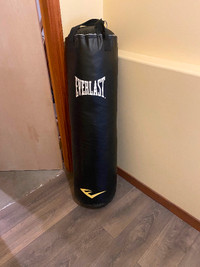 Everlast 100lb punching bag