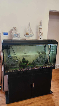 Aquarium 90 gallons avec filtre Fluval 405,  accessoires