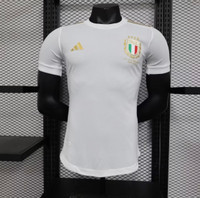 Authentic Italy Jersy