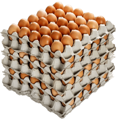 Farm Fresh Organic Eggs for Sale Brampton and Mississauga, View more