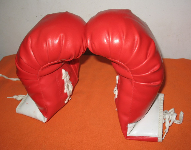 Boxing Cloves 12oz Weight - Great Condition. in Exercise Equipment in Edmonton