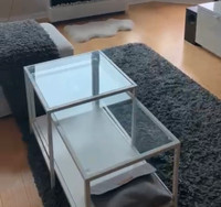 Ikea Rug (VINDEBÄK)