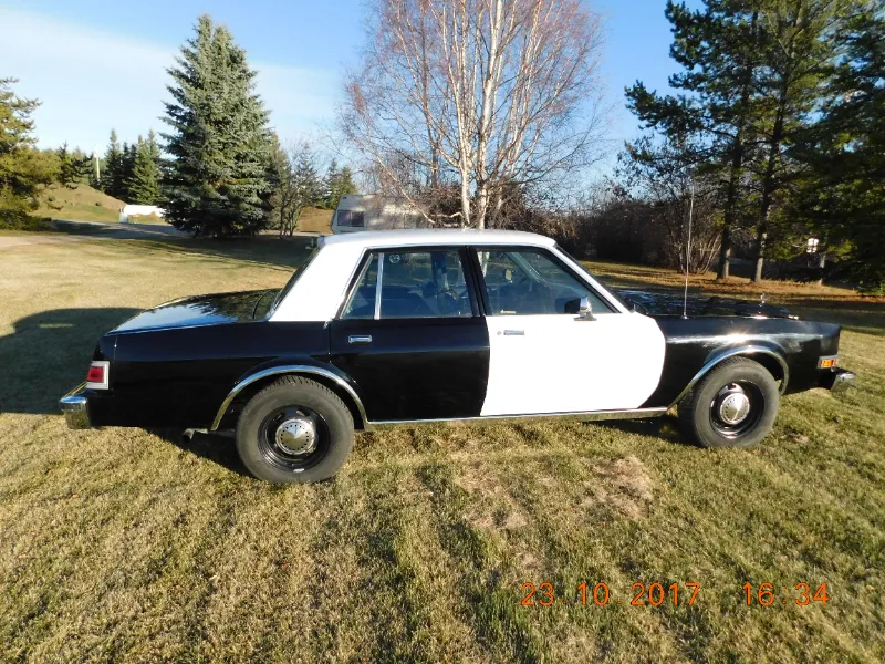 1984 Dodge Diplomat AHB Police Package