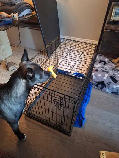 Dog kennel (children as well depending on local laws), View more