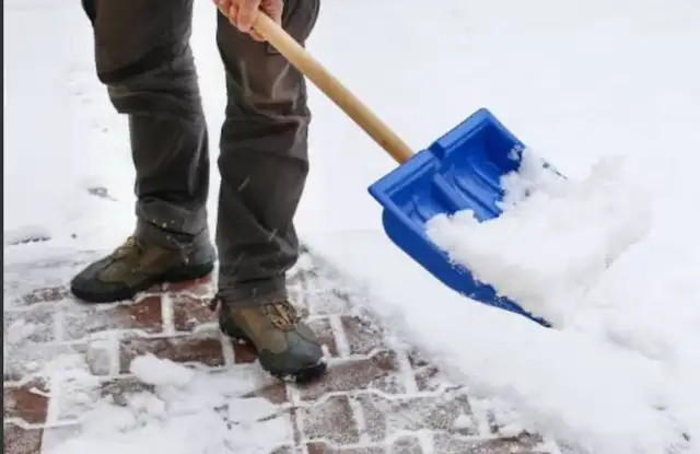 Déneigement / Snow Removal64601012501122121