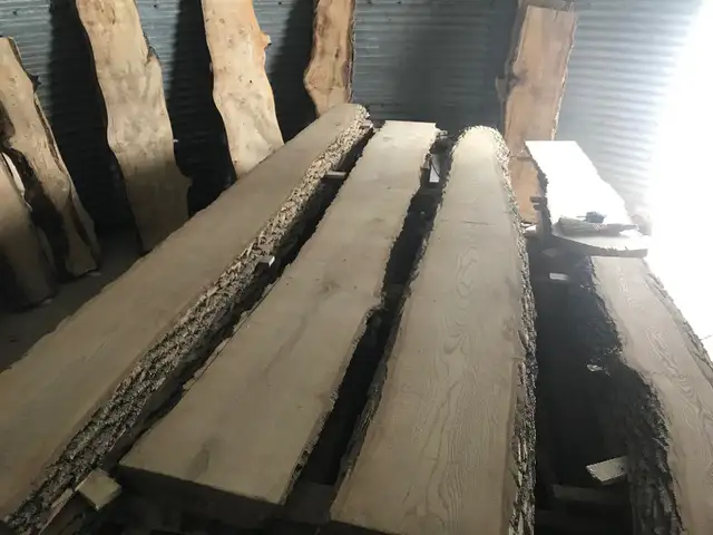 Live Edge Lumber -  HUGE OAK slabs - CEDAR available. in Hobbies & Crafts in Winnipeg - Image 8