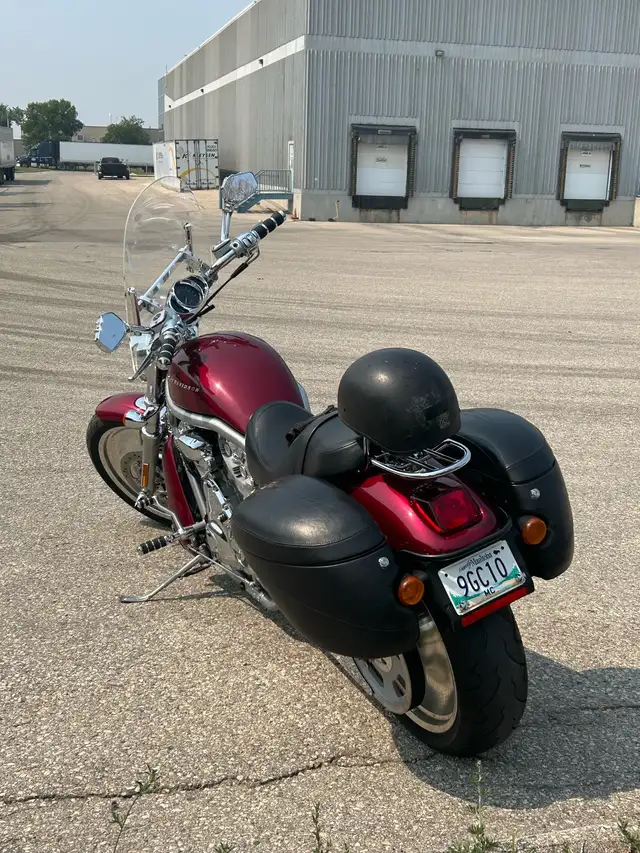 2004 VSRCA V-Rod in Street, Cruisers & Choppers in Winnipeg - Image 4
