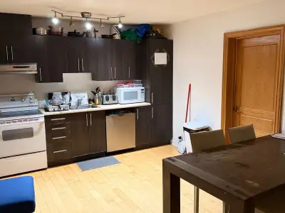 1 chambre, 1 salle de bain en collocation