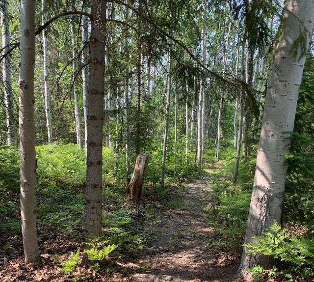 Vacant LandApprox 27 AcresTemiskaming Shores Land for Sale