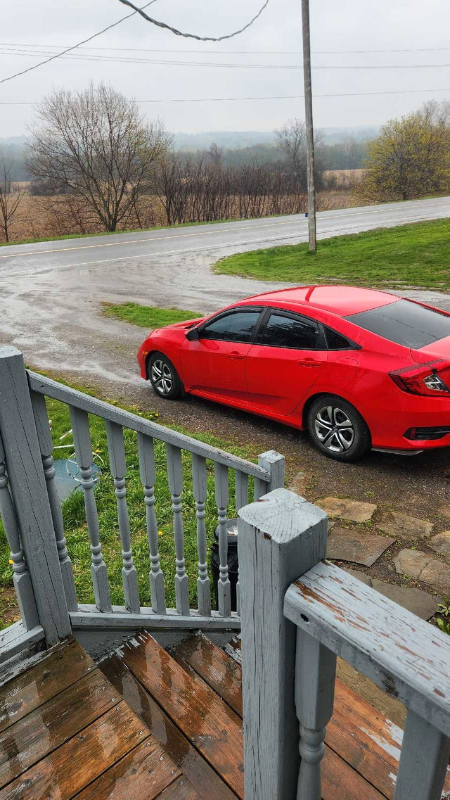 2019 Honda civic in Cars & Trucks in Oshawa / Durham Region - Image 3