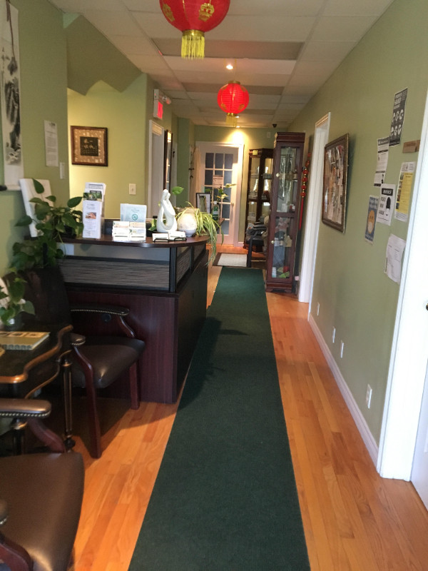 Room for Rent for Acupuncturist at Quinpool Road in Room Rentals & Roommates in City of Halifax - Image 4
