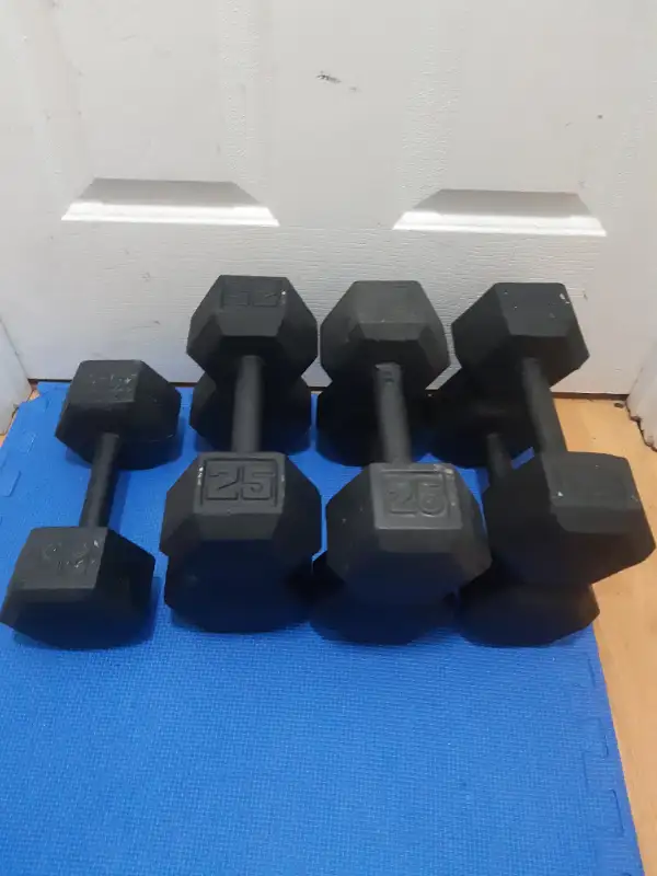 dumbbells in Exercise Equipment in Delta/Surrey/Langley - Image 7