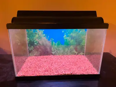 11.5 Gallon Aquarium and Accessories, View more