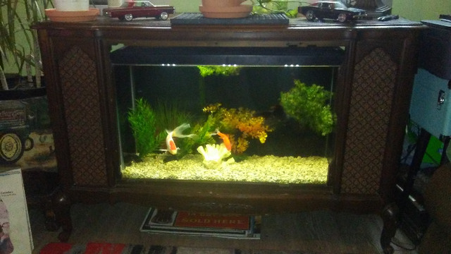 television aquarium in Accessories in Belleville