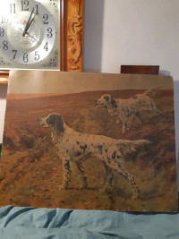 Ancienne rare lithographies chien Bergé 